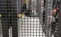 美國云服務器有什么優勢_免費云服務器使用